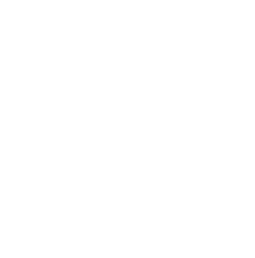 FS Sport & Coaching  logo